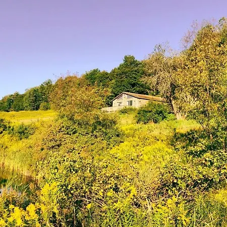 Villa Hamden Hill House